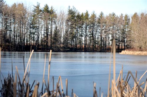 Tract 7 - 4.8 acre Private Lake - 339+/- Acres Offered in 10 Tracts